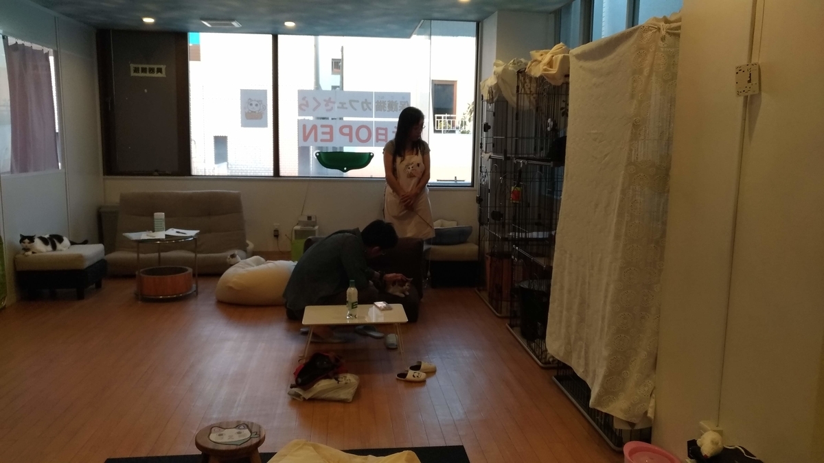 f:id:tomommy:20190512090132j:plain f:id:tomommy:20190512090132j:plain