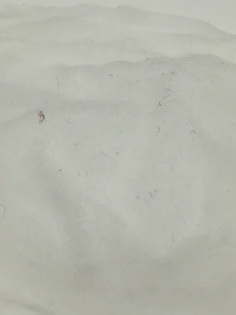 f:id:tomomo1:20180707010112j:plain