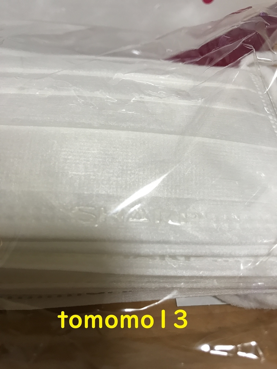 f:id:tomomo13:20201027190915j:plain