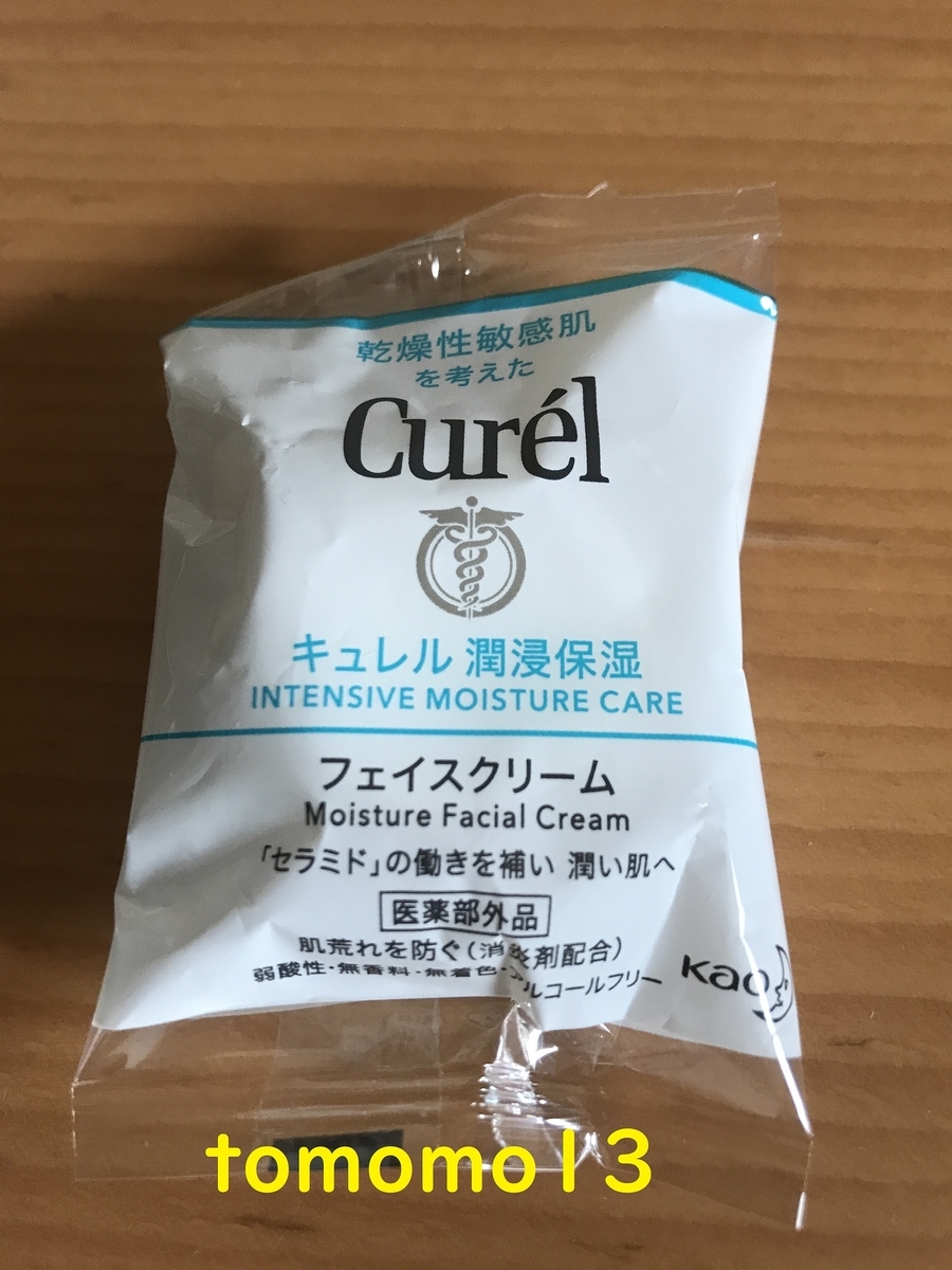 f:id:tomomo13:20201028115505j:plain