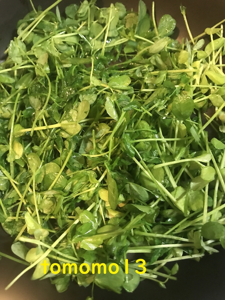 f:id:tomomo13:20201030154315j:plain