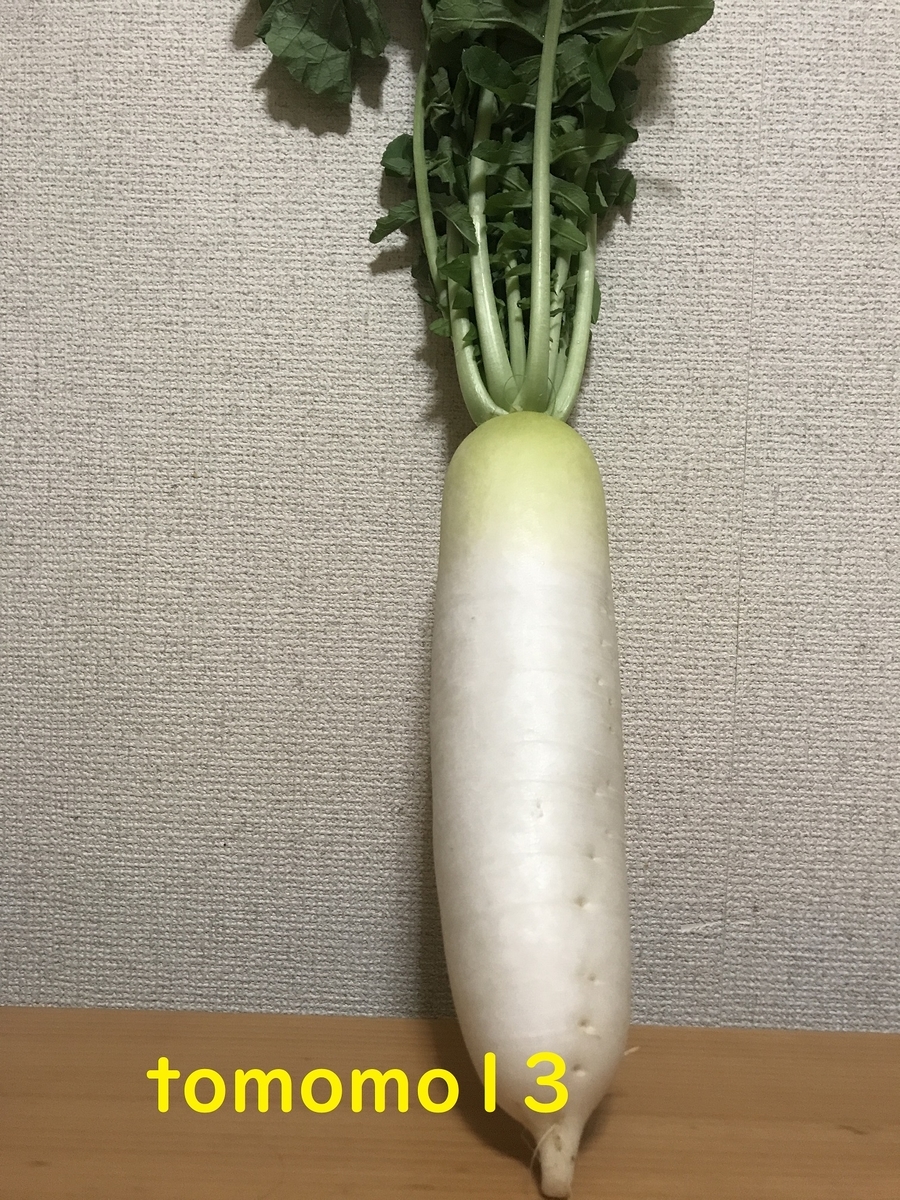 f:id:tomomo13:20201031231009j:plain