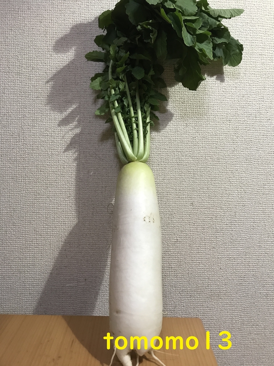 f:id:tomomo13:20201122221755j:plain