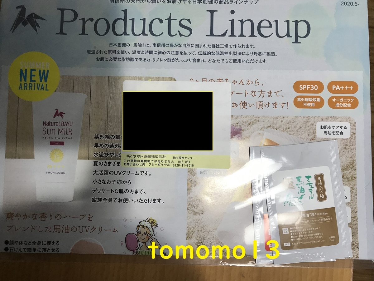 f:id:tomomo13:20201127083024j:plain