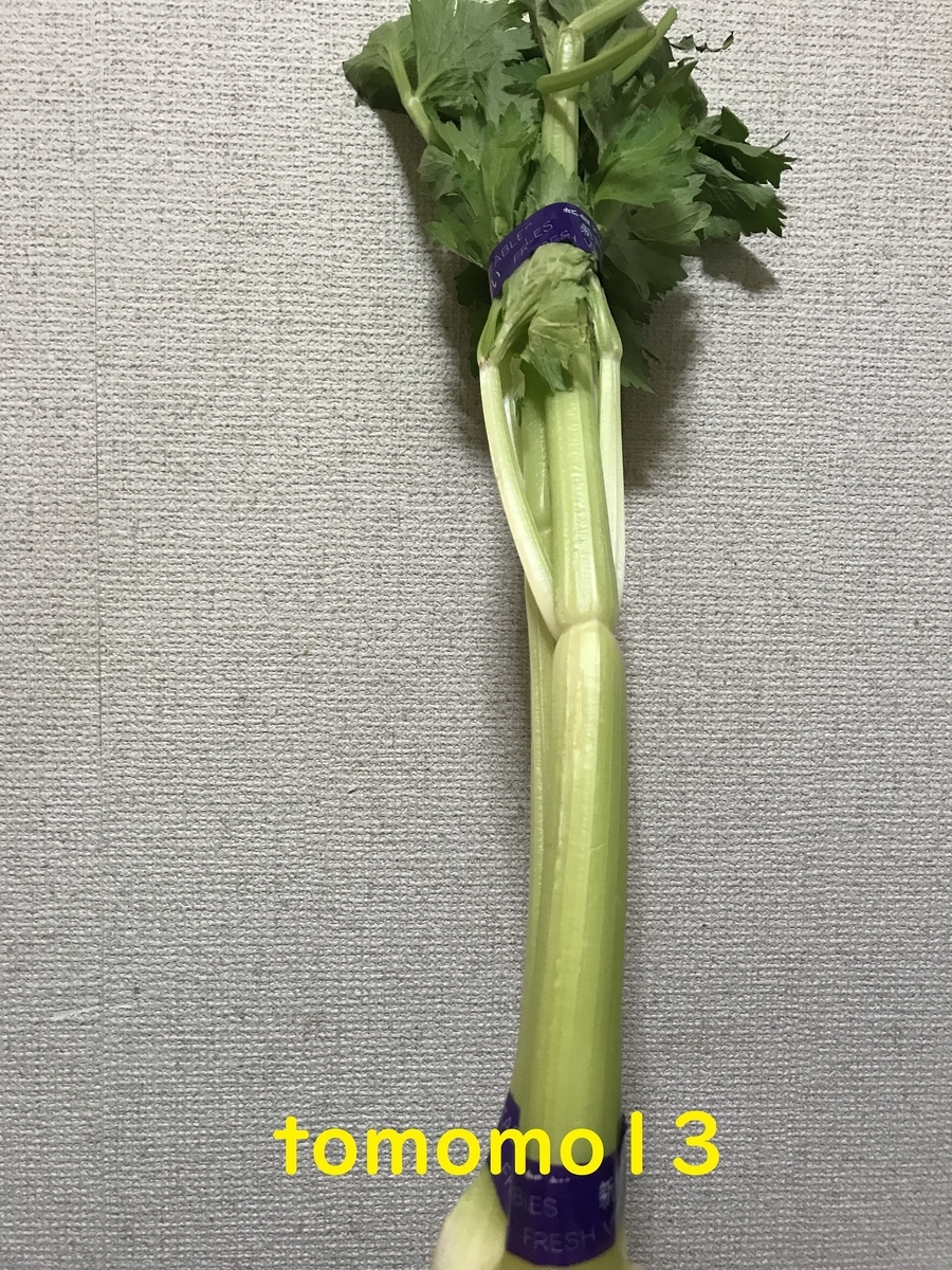 f:id:tomomo13:20201130114956j:plain