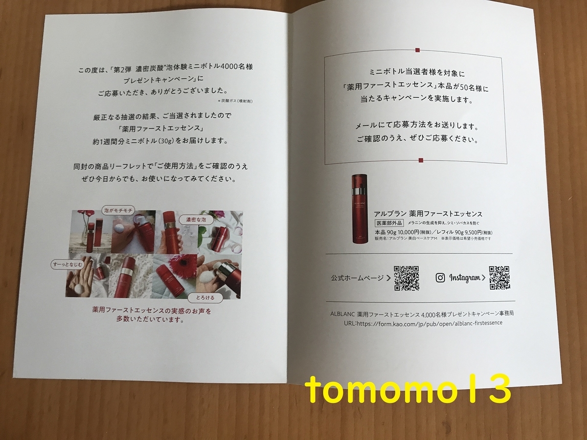 f:id:tomomo13:20201213123549j:plain