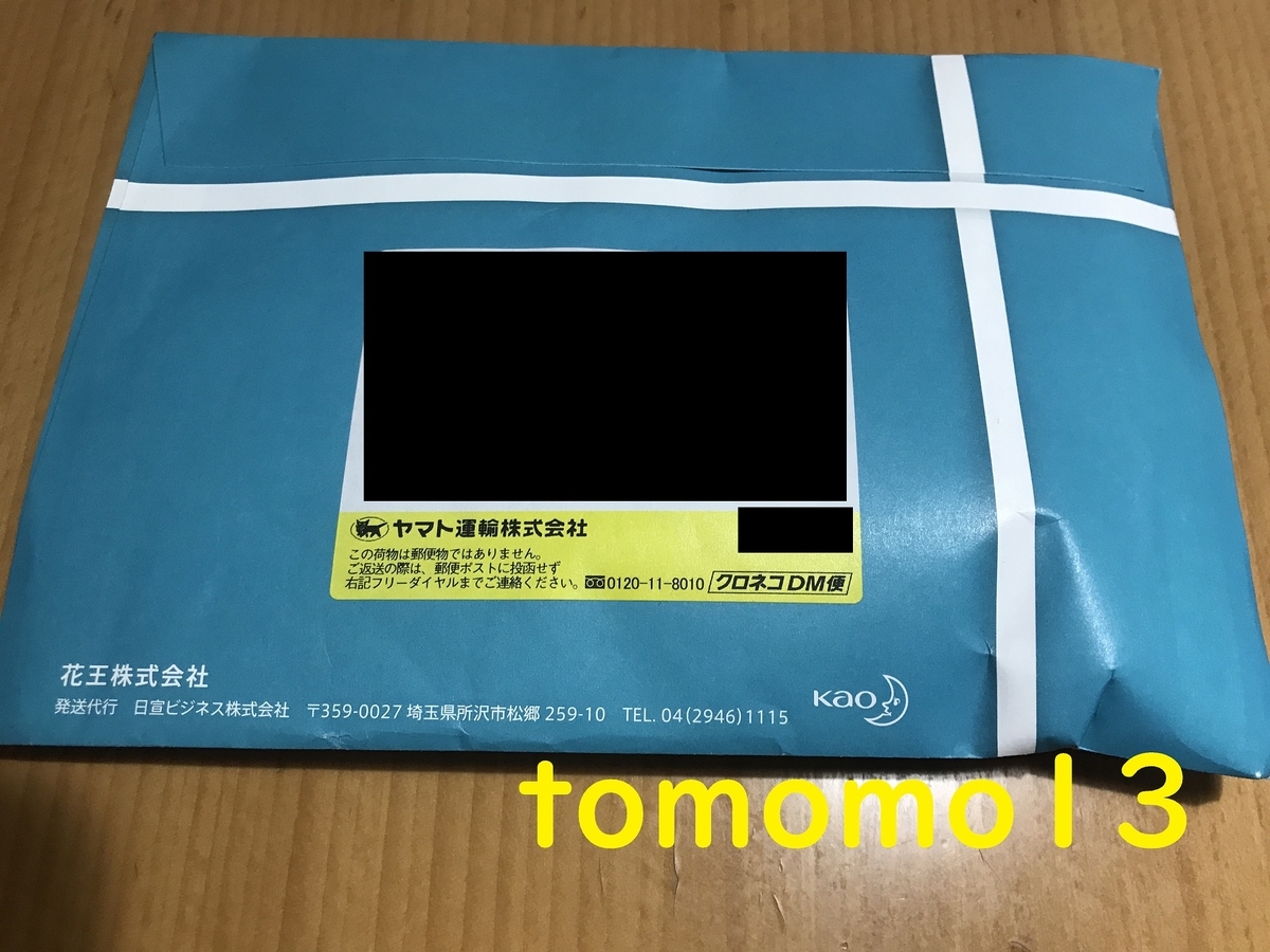 f:id:tomomo13:20201219085750j:plain