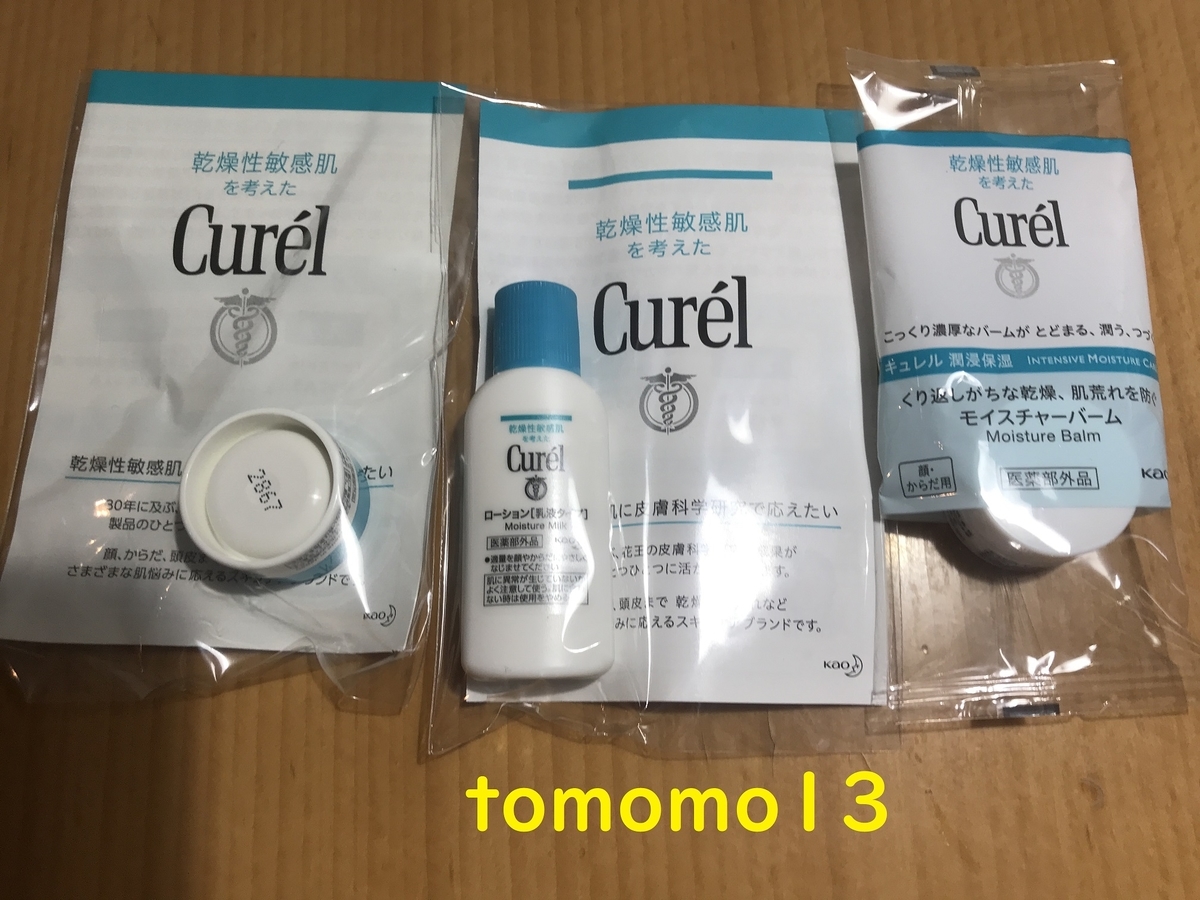 f:id:tomomo13:20201219090035j:plain