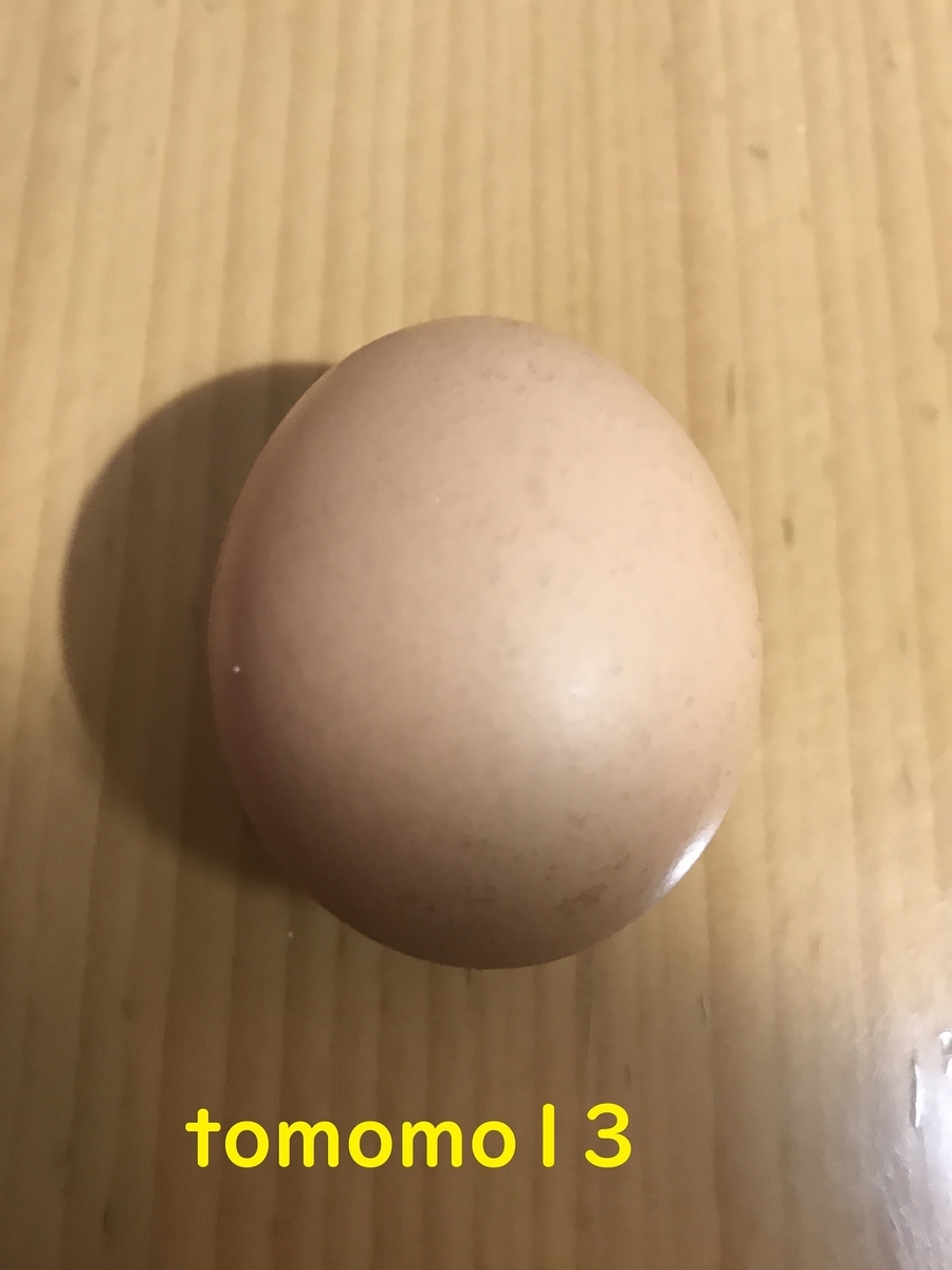 f:id:tomomo13:20201224114857j:plain