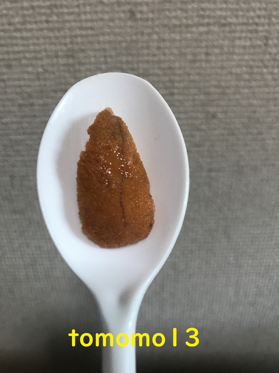 f:id:tomomo13:20201227164658j:plain