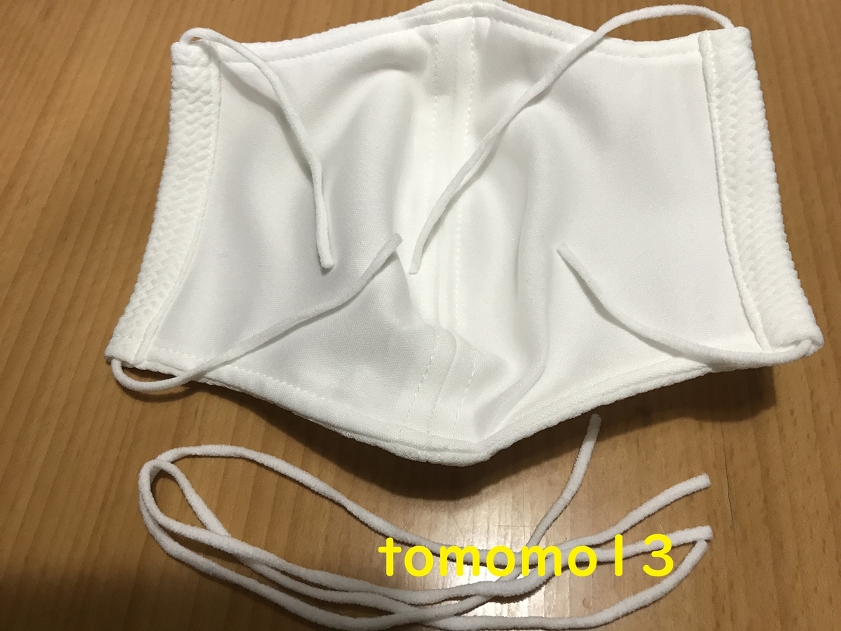 f:id:tomomo13:20201228180119j:plain