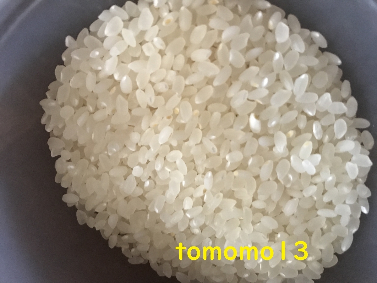 f:id:tomomo13:20210129104328j:plain