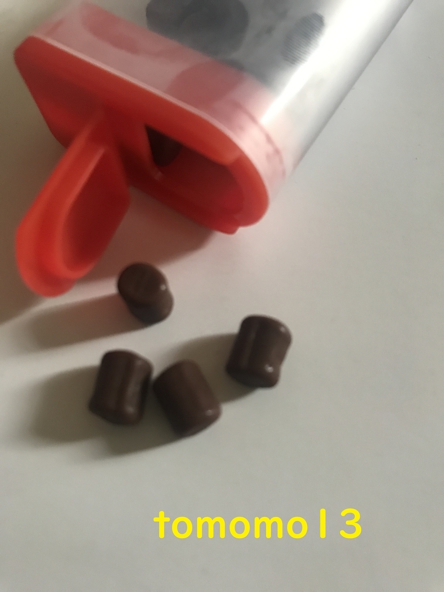 f:id:tomomo13:20210225094923j:plain