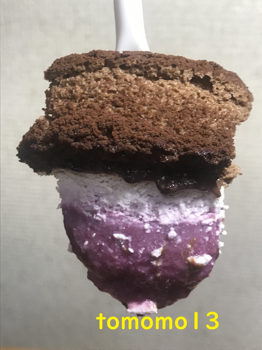 f:id:tomomo13:20210313120800j:plain