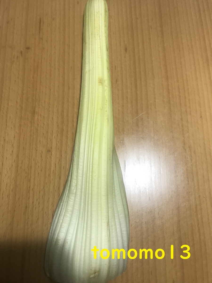 f:id:tomomo13:20210326215342j:plain