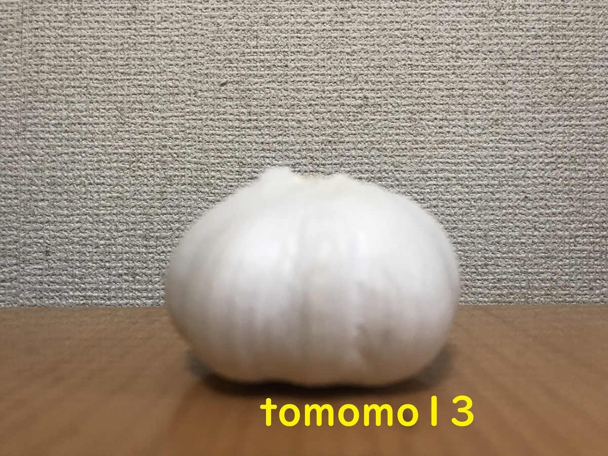 f:id:tomomo13:20210401093215j:plain