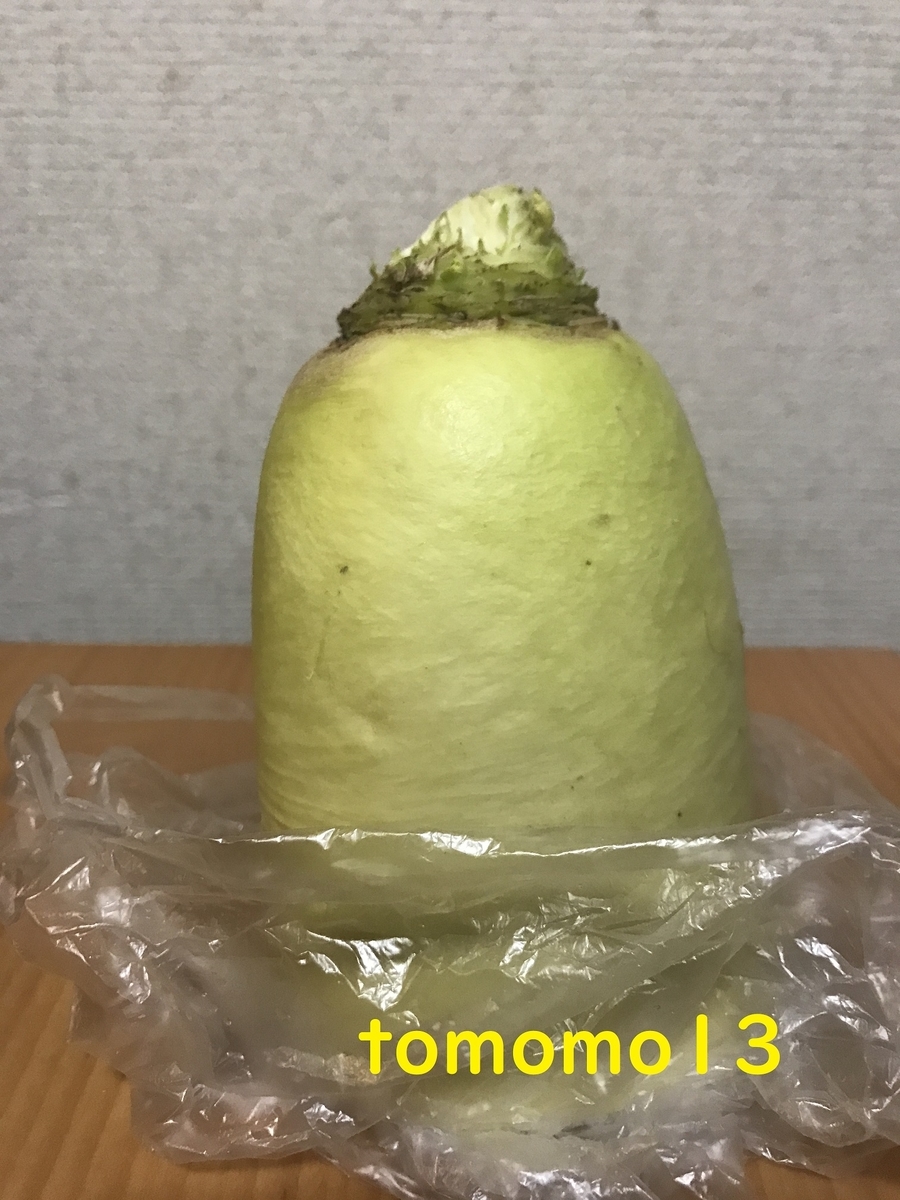 f:id:tomomo13:20210403222650j:plain