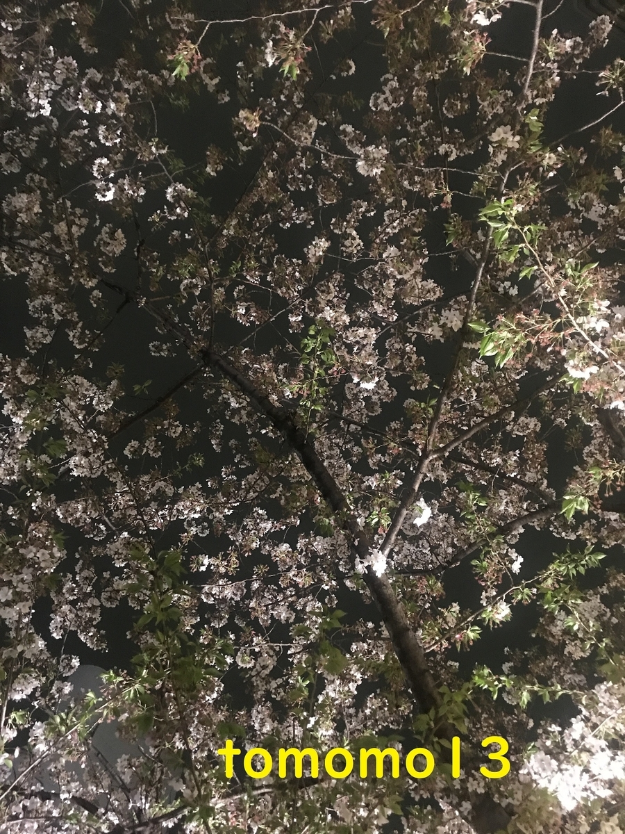 f:id:tomomo13:20210407122910j:plain