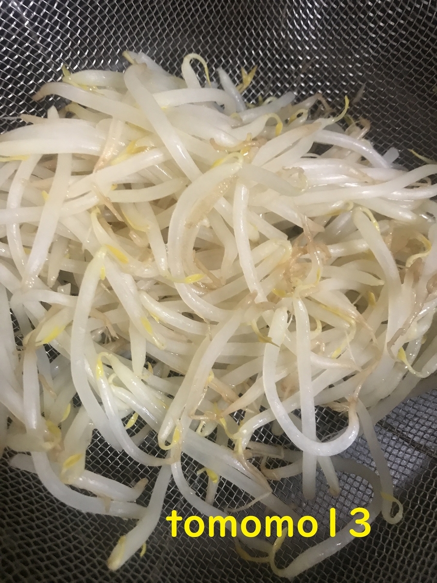 f:id:tomomo13:20210427090043j:plain