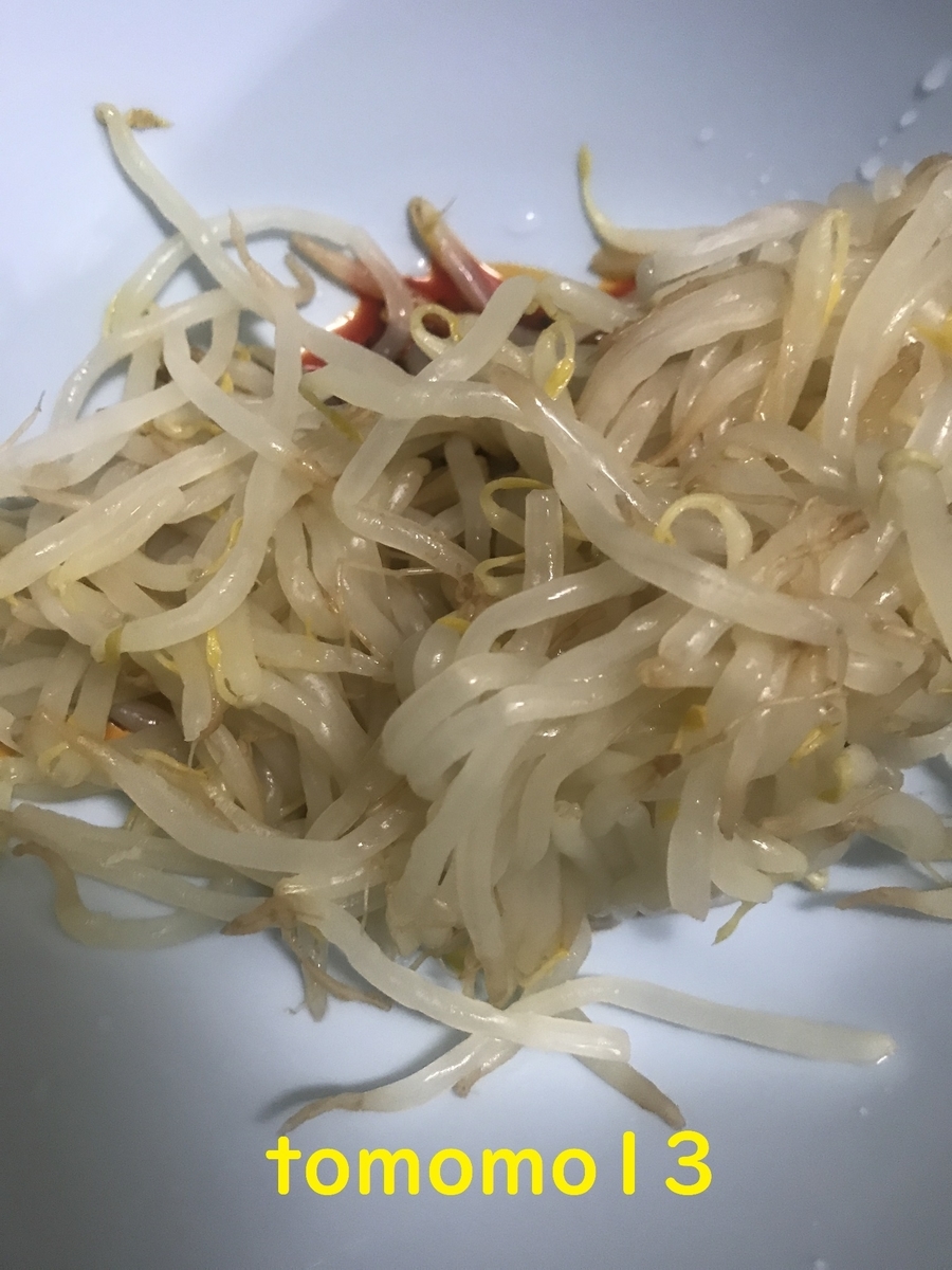 f:id:tomomo13:20210427090238j:plain