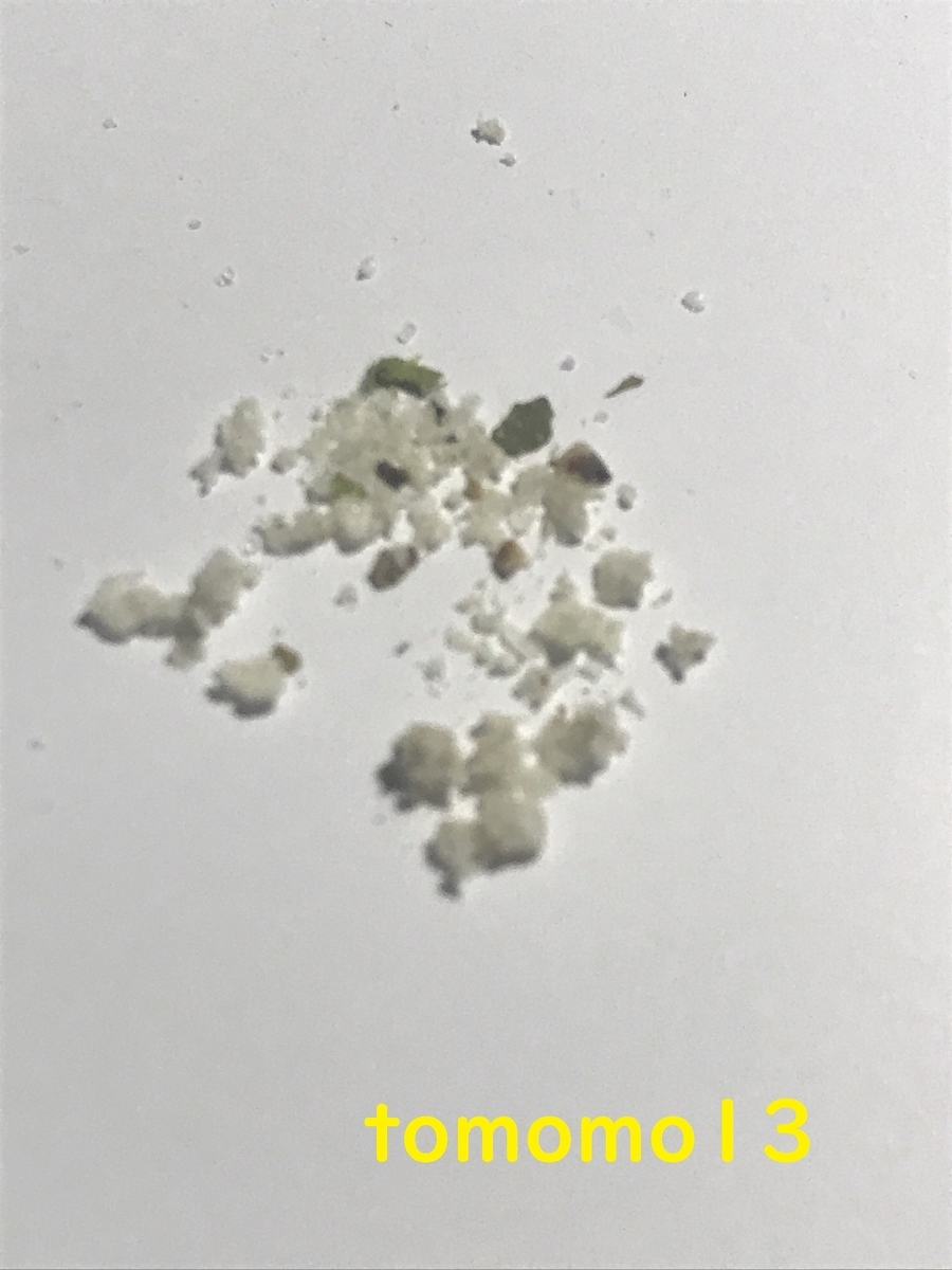 f:id:tomomo13:20210525060722j:plain