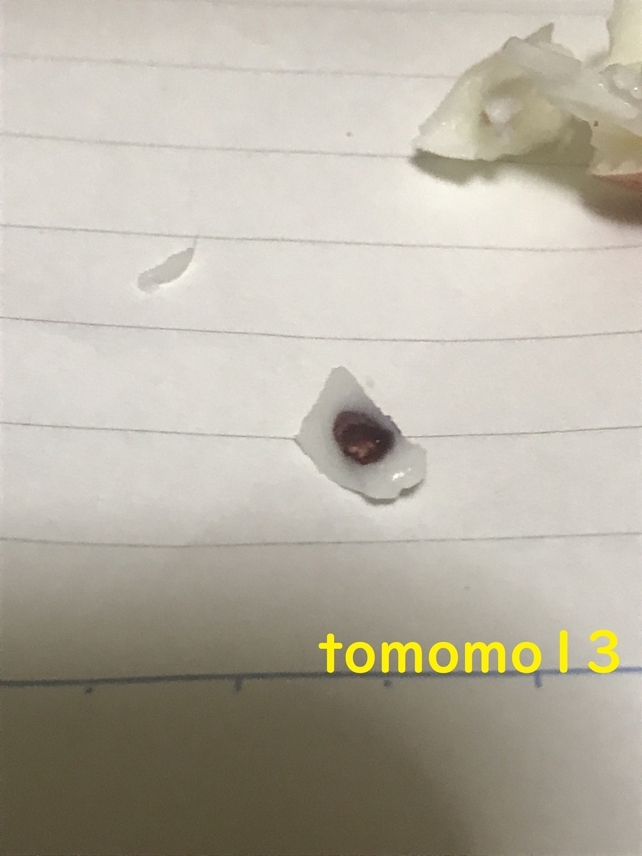 f:id:tomomo13:20210702005455j:plain