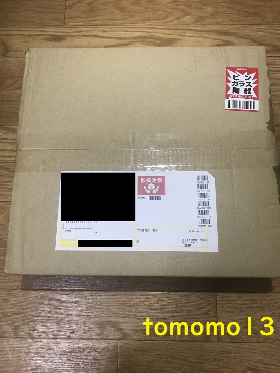 f:id:tomomo13:20210808030448j:plain