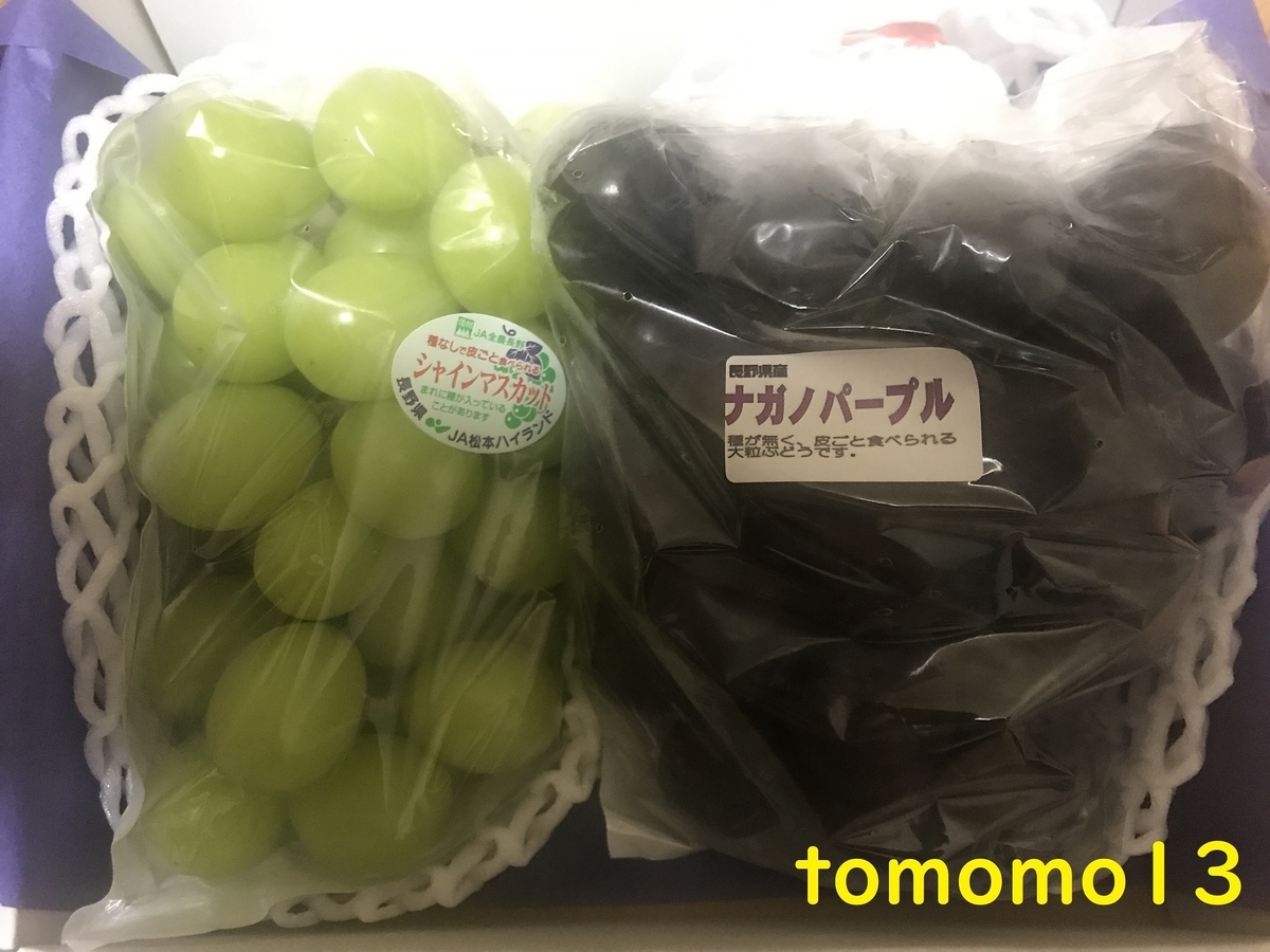 f:id:tomomo13:20211005121605j:plain