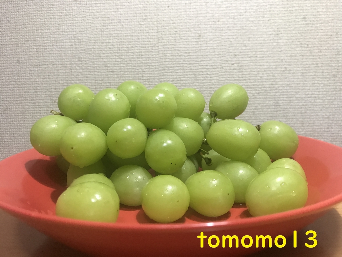 f:id:tomomo13:20211005121637j:plain