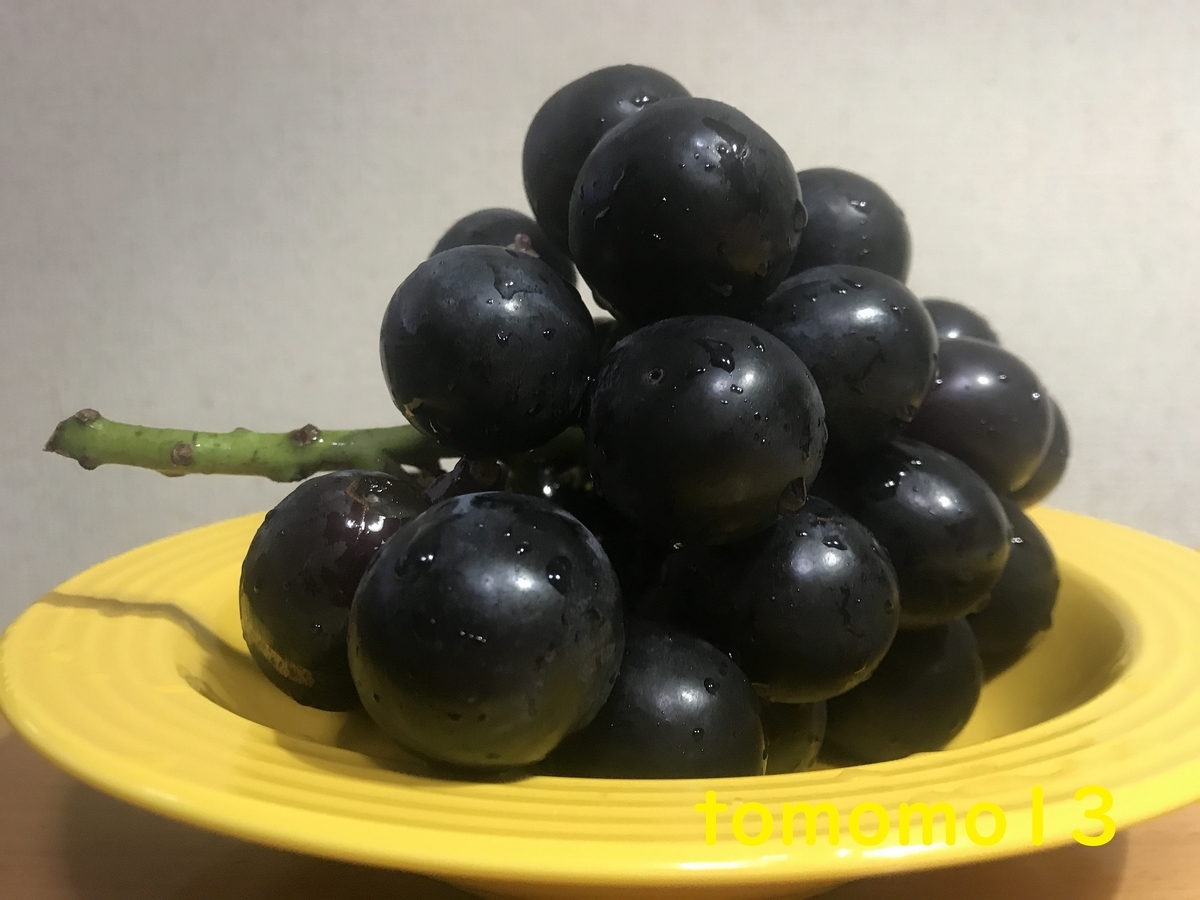 f:id:tomomo13:20211006122341j:plain