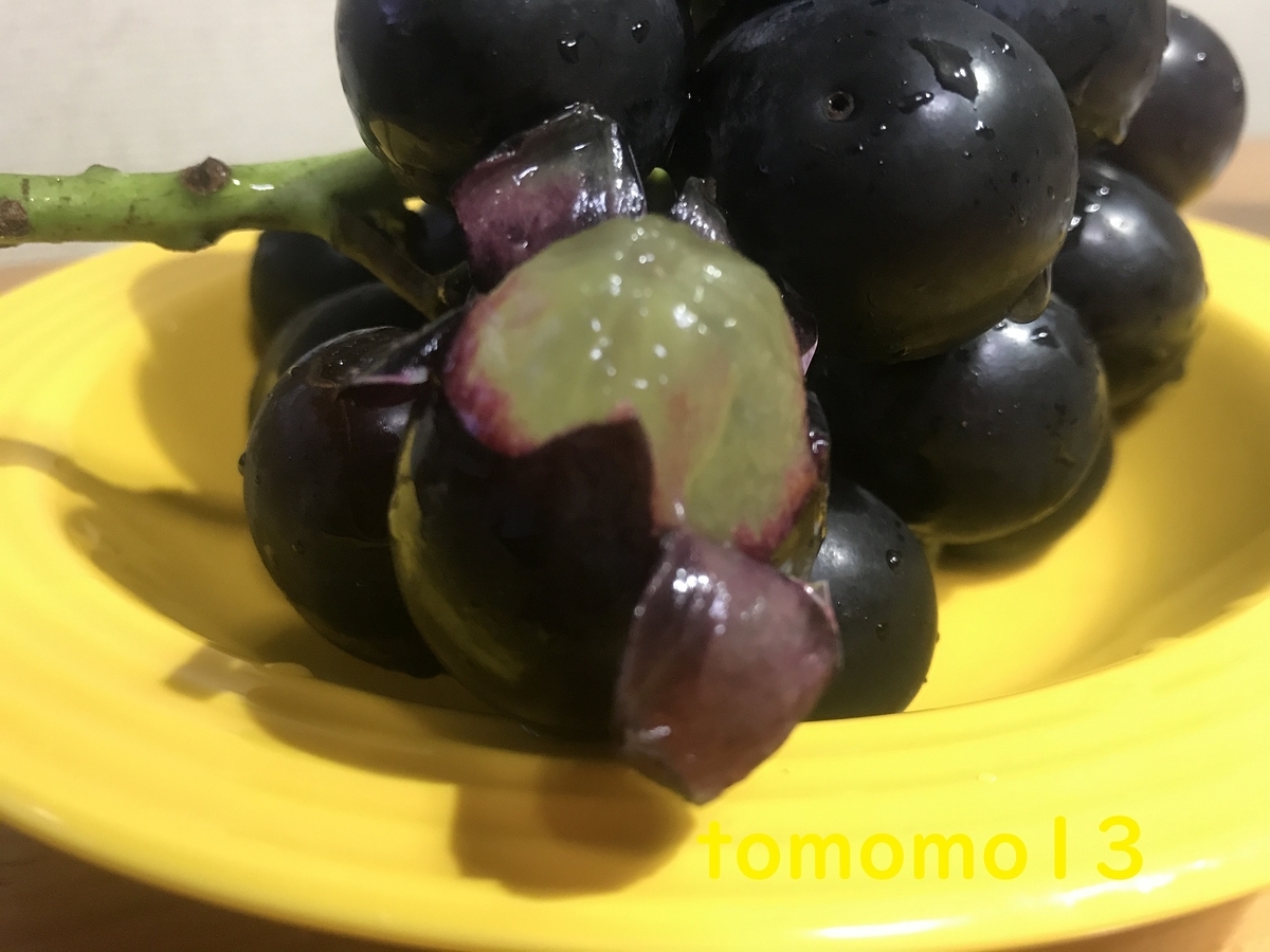 f:id:tomomo13:20211006122409j:plain