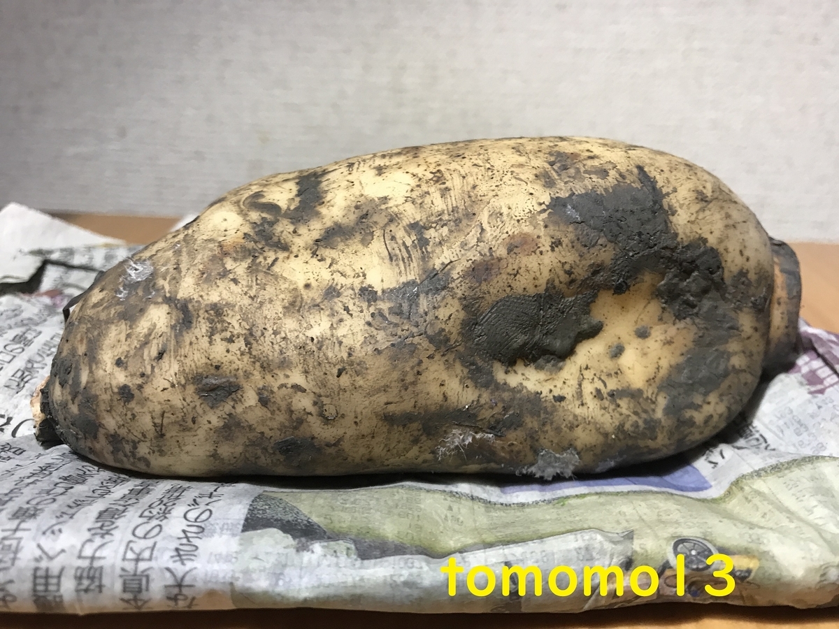 f:id:tomomo13:20211209042835j:plain