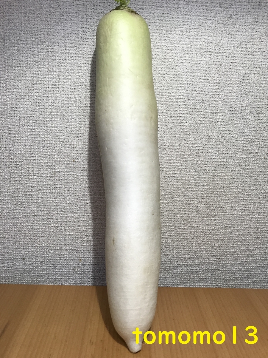 f:id:tomomo13:20211211123825j:plain