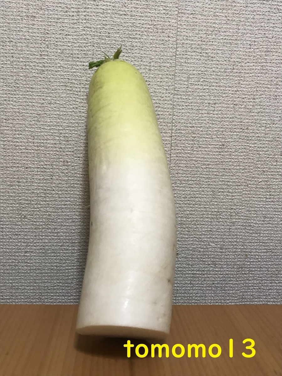 f:id:tomomo13:20211222044951j:plain