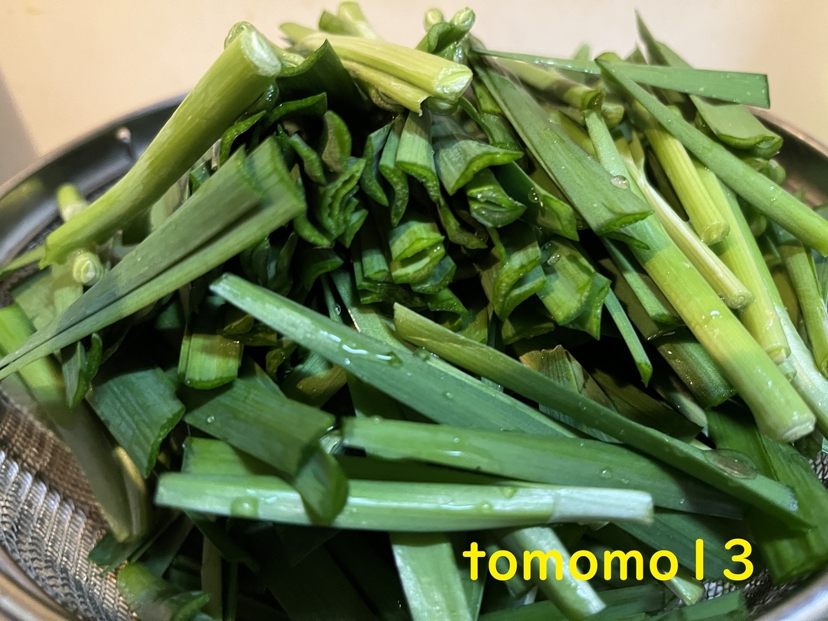 f:id:tomomo13:20220126063550j:plain