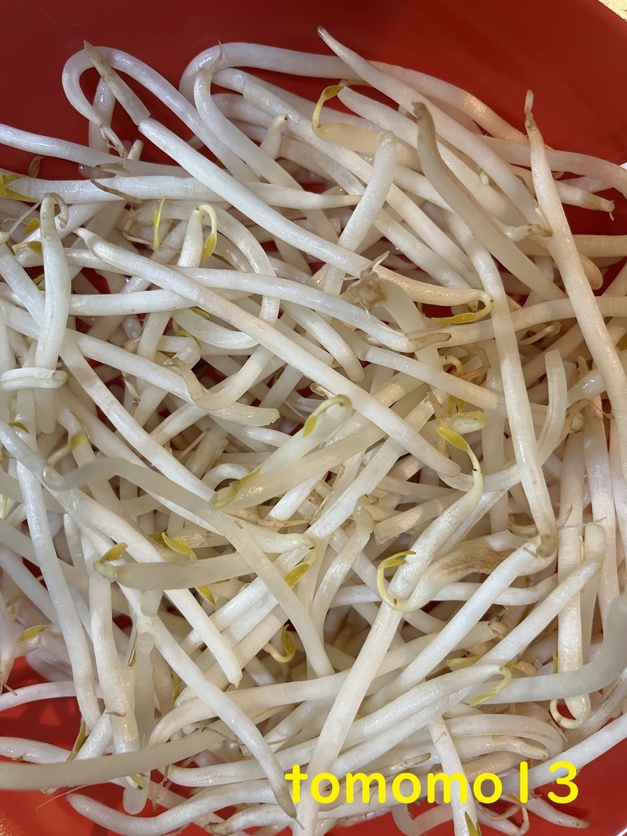 f:id:tomomo13:20220318023459j:plain