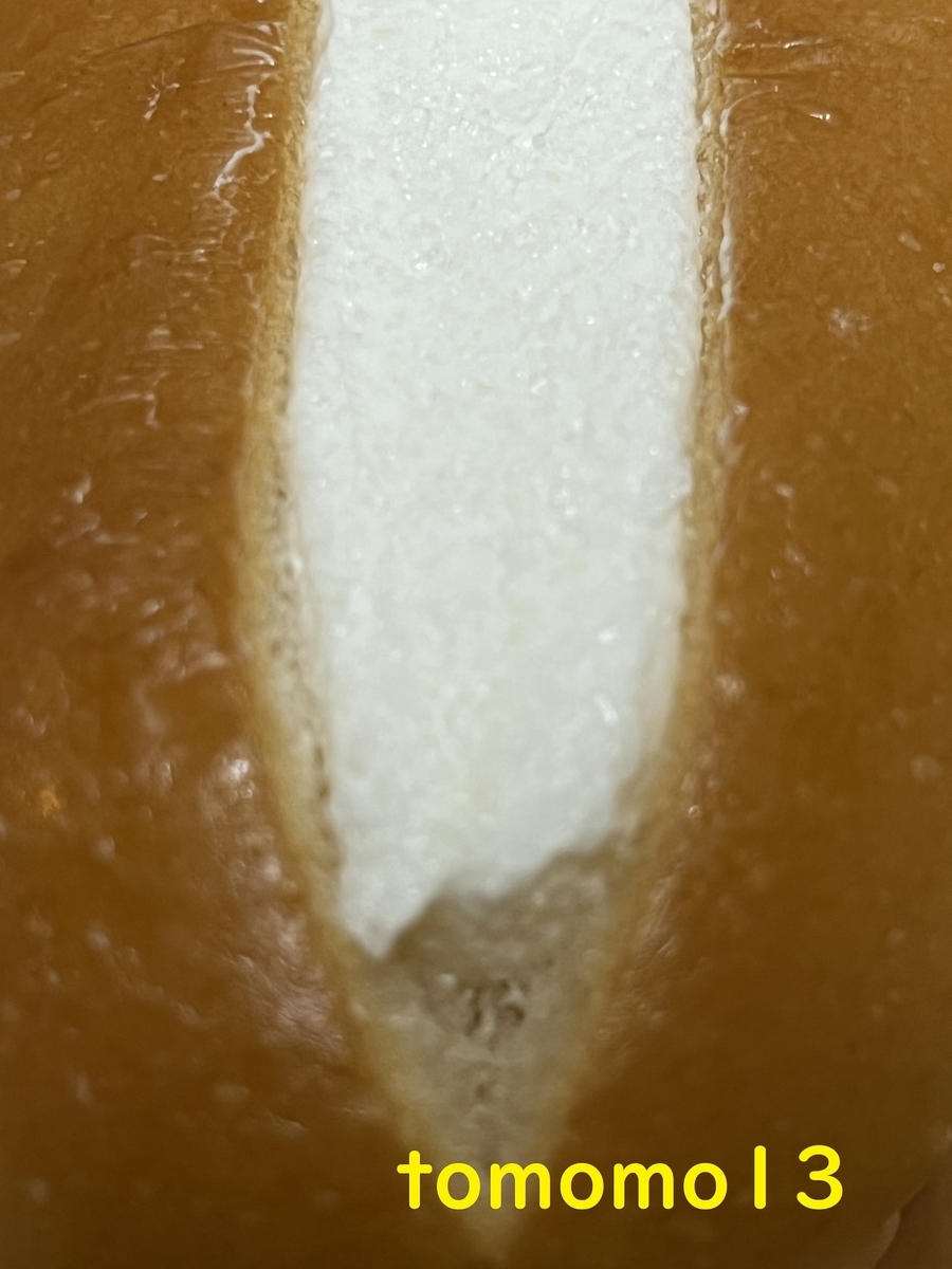 f:id:tomomo13:20220418030130j:plain