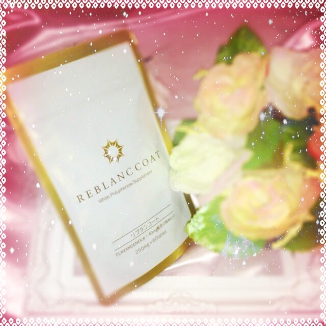 f:id:tomonotecho:20171107022358j:image