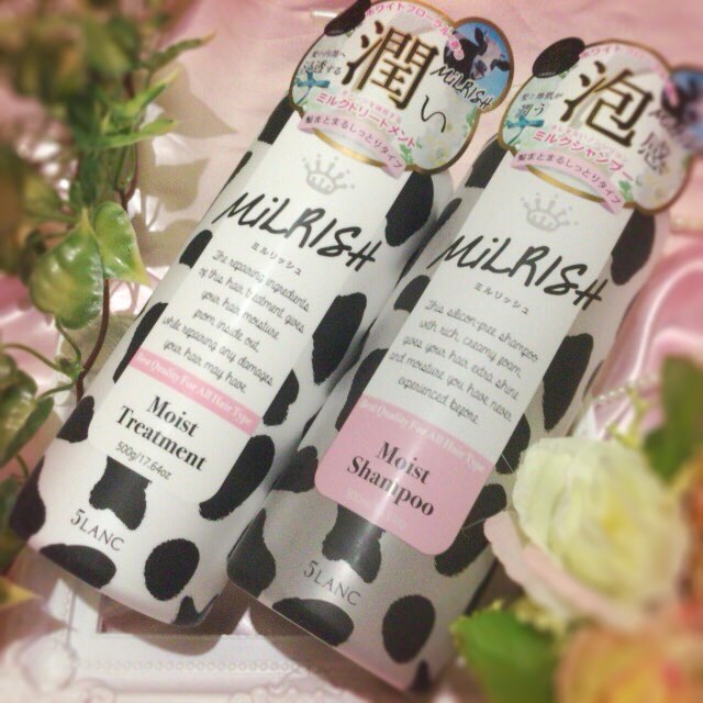 f:id:tomonotecho:20180117025156j:image