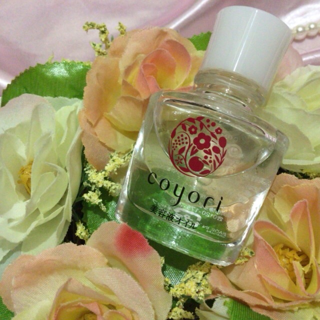 f:id:tomonotecho:20180128030532j:image