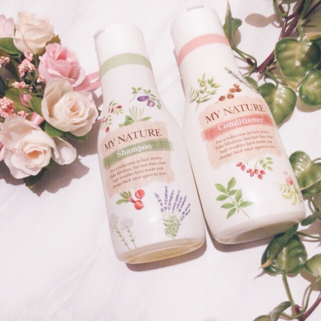 f:id:tomonotecho:20180401031726j:image