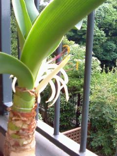 f:id:tomookazemi:20100813231823j:image f:id:tomookazemi:20100813231823j:image