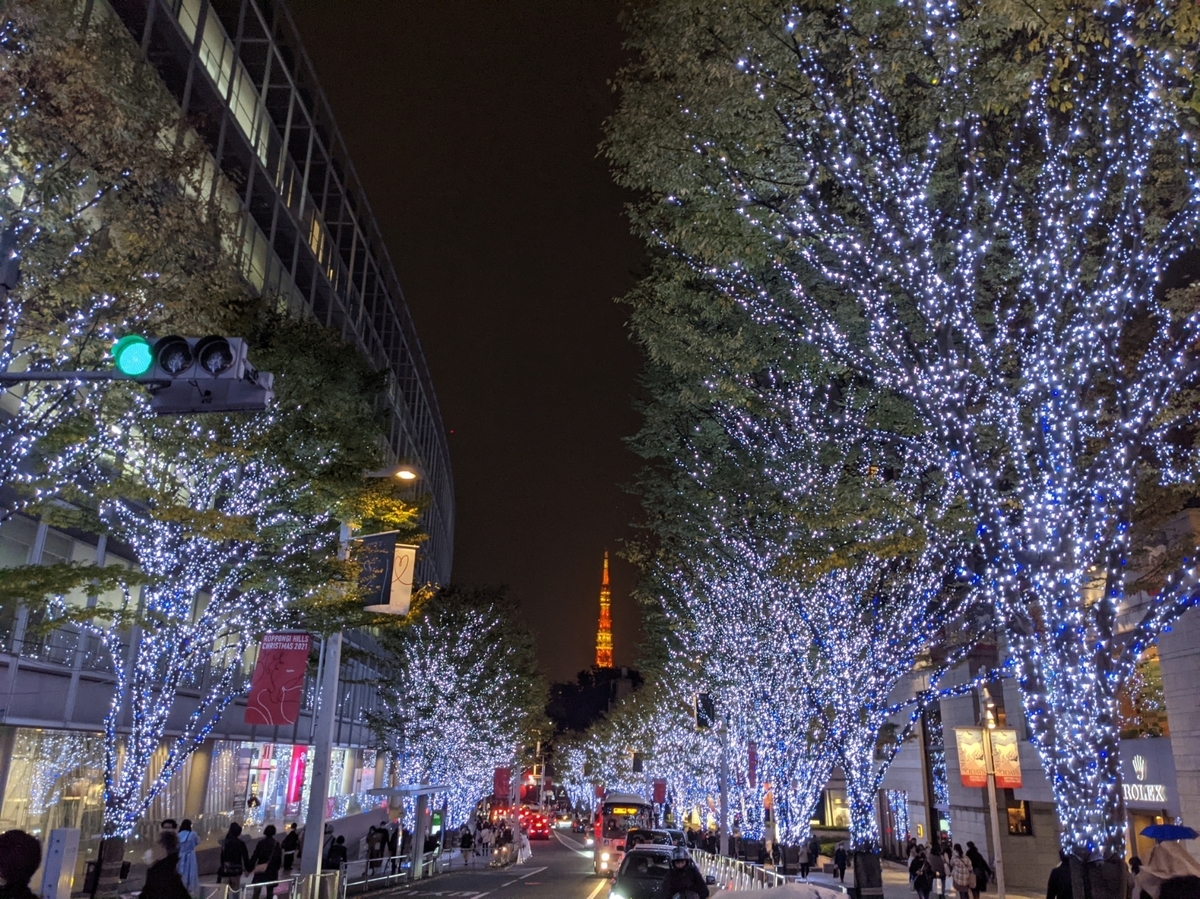 f:id:tomookazemi:20211122113959j:plain