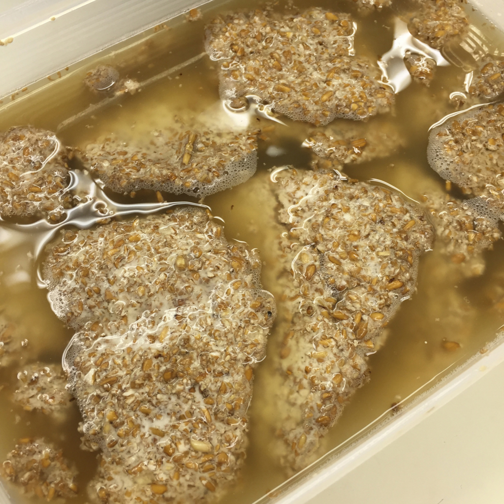 f:id:tomoppi:20160907235107j:plain f:id:tomoppi:20160907235107j:plain