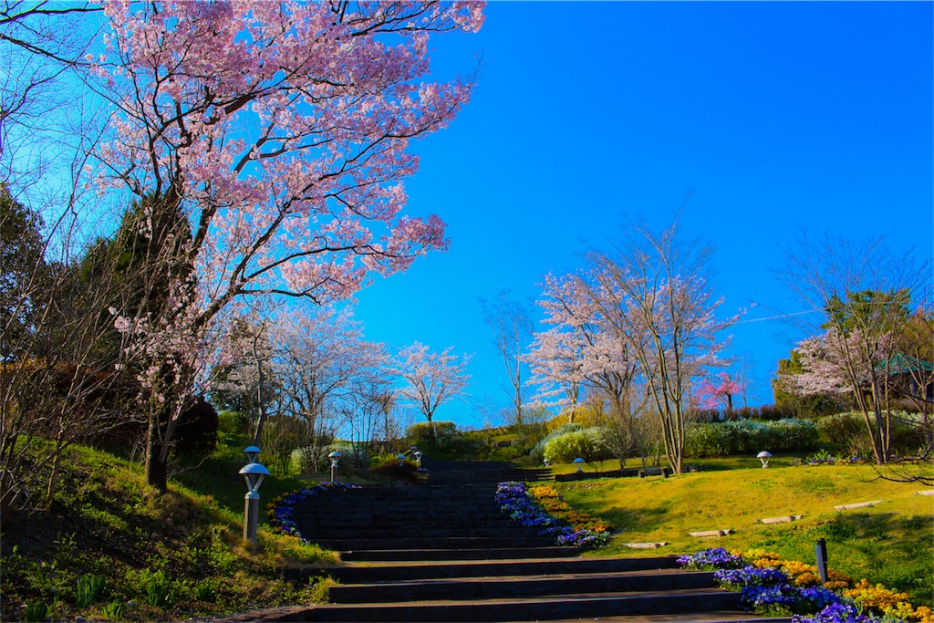 f:id:tomopukin1108:20180330064146j:image