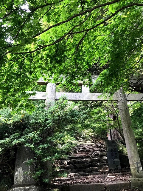 f:id:tomoquito:20200617220620j:plain f:id:tomoquito:20200617220620j:plain