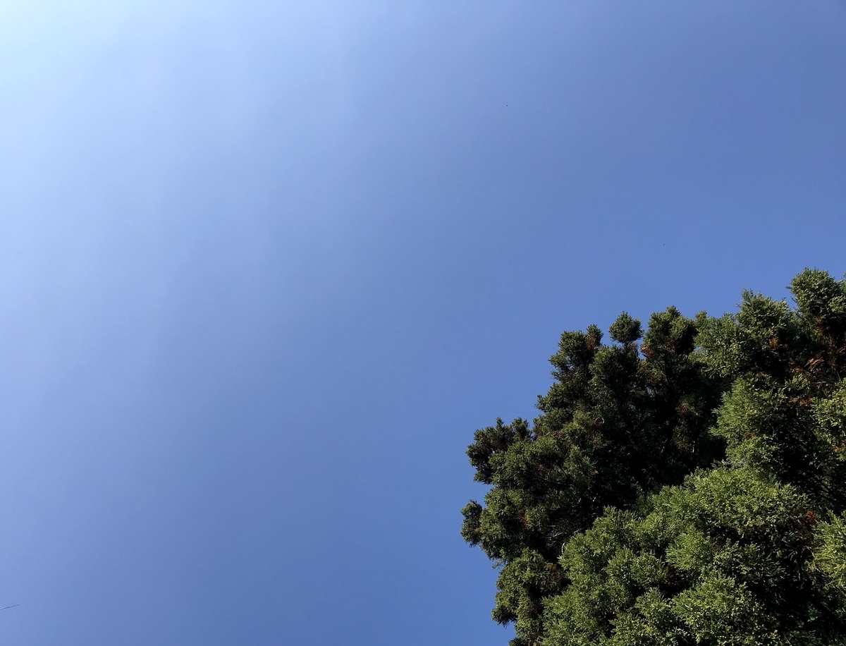 f:id:tomoquito:20201111215426j:plain