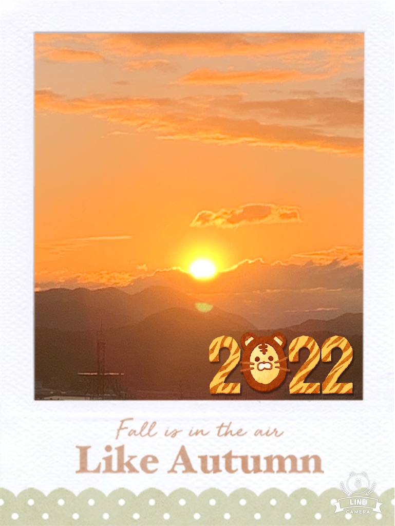 happy new year🎍 tomorinmanのモフモフ日記