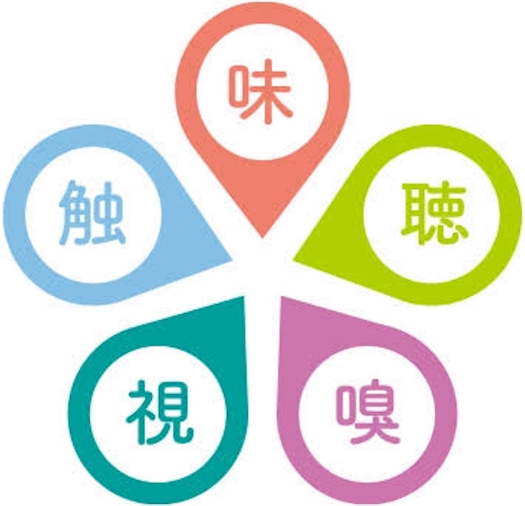 五感が記憶に残る順番は？