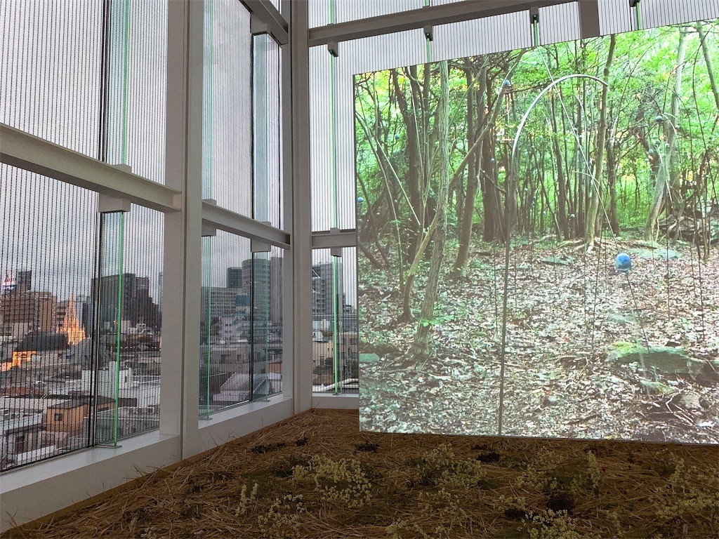 f:id:tomosaku:20190811112030j:image f:id:tomosaku:20190811112030j:image